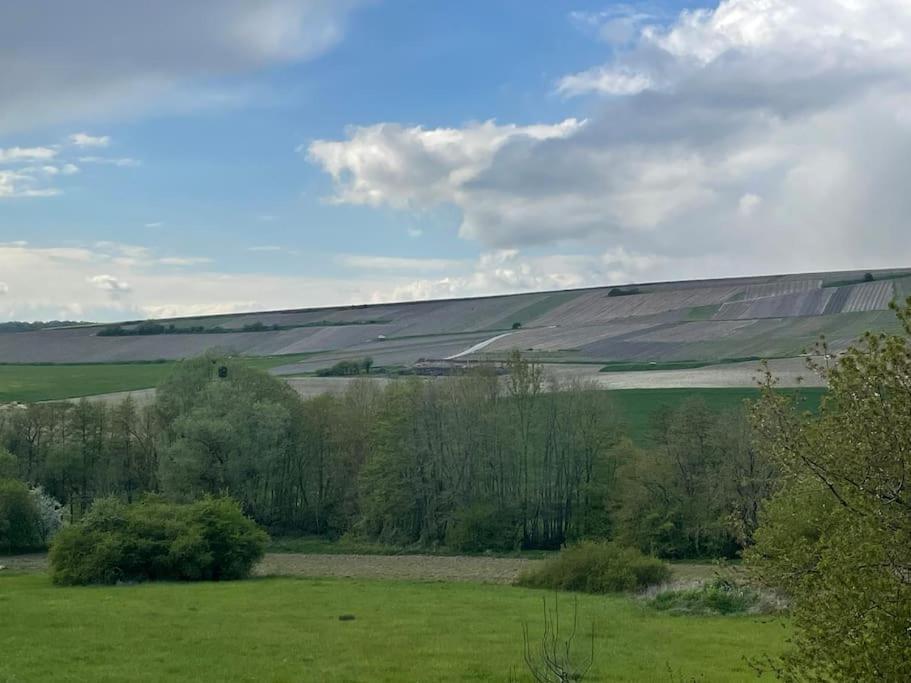 Maison D'Hotes Baslieux-sous-Chatillon 外观 照片